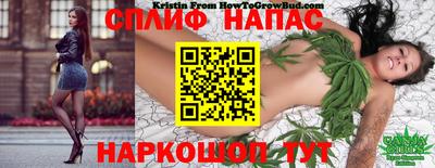 прущие крисы Ачхой-Мартан