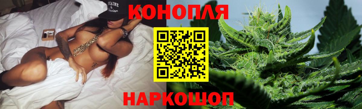 Шишки марихуана гибрид  Каннабис планчик  Вход с VPN  Аша 